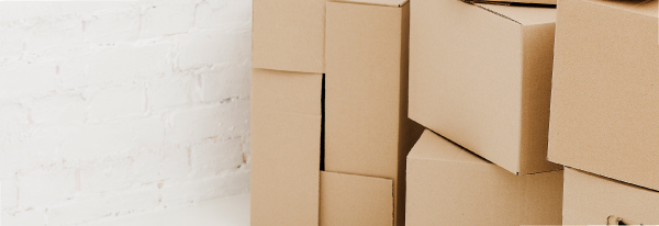 女性スタッフだけでの対応も可能！